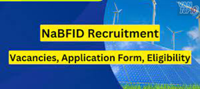 NaBFID Recruitment 2023